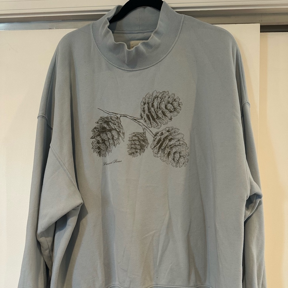 American Eagle Outfitters Light Blue Sweatshirt sweater with Pinecone Graphic